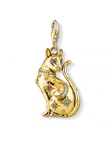 Pendentif Charm pour femmes de Thomas Sabo Amélioration de cerveau avec