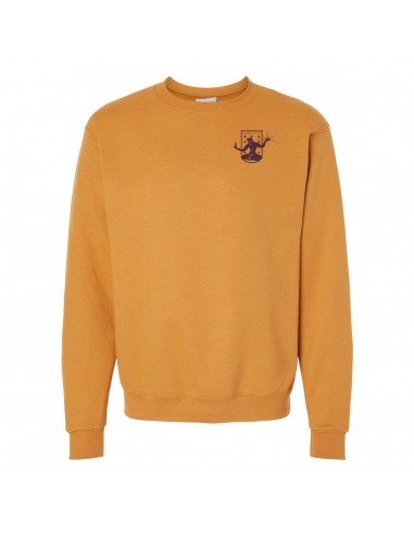 DCFC Champion Embroidered Crew- Gold Livraison rapide